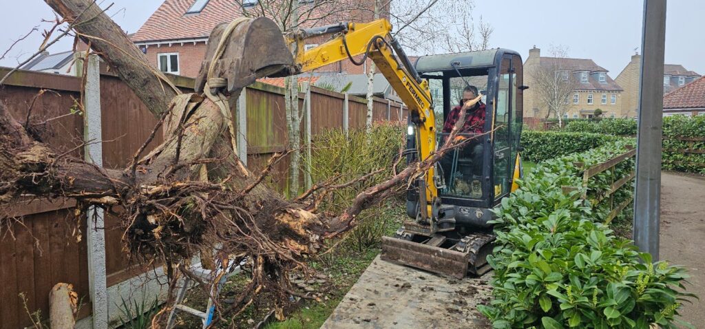 Mini digger removing a fallen tree and its roots from a garden